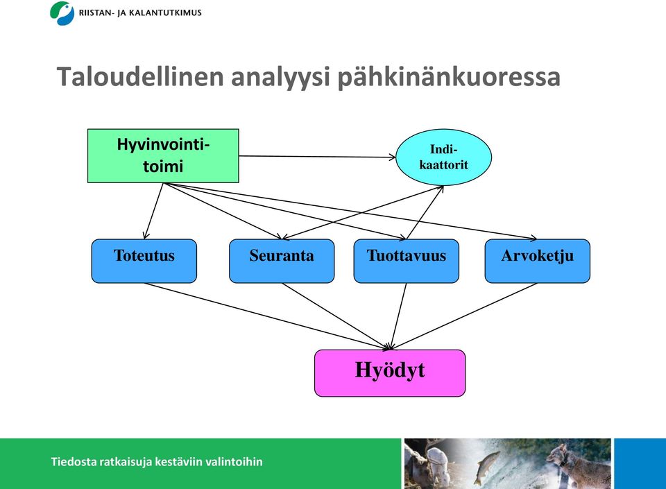 Hyvinvointitoimi