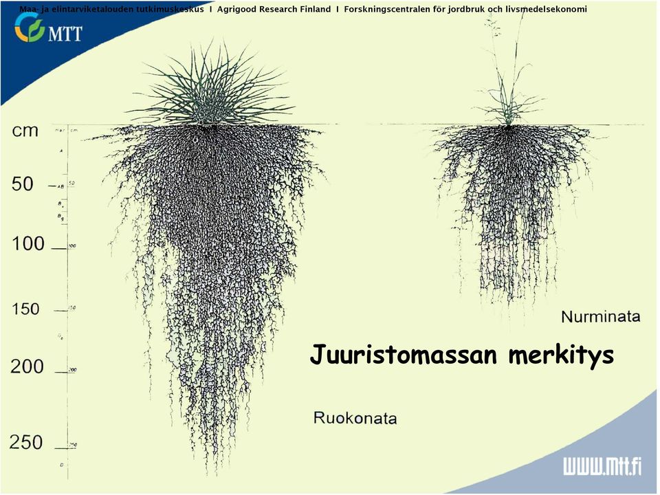 Finland I Forskningscentralen för