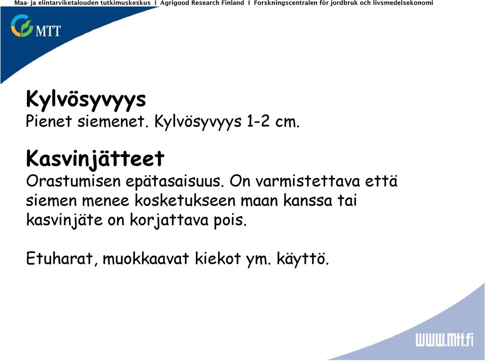 Kylvösyvyys 1-2 cm. Kasvinjätteet Orastumisen epätasaisuus.