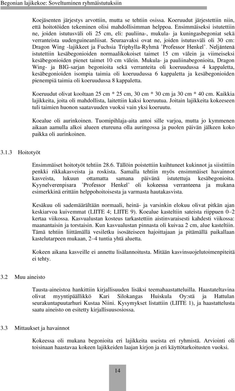 Seuraavaksi ovat ne, joiden istutusväli oli 30 cm: Dragon Wing -lajikkeet ja Fuchsia Triphylla-Ryhmä Professor Henkel.