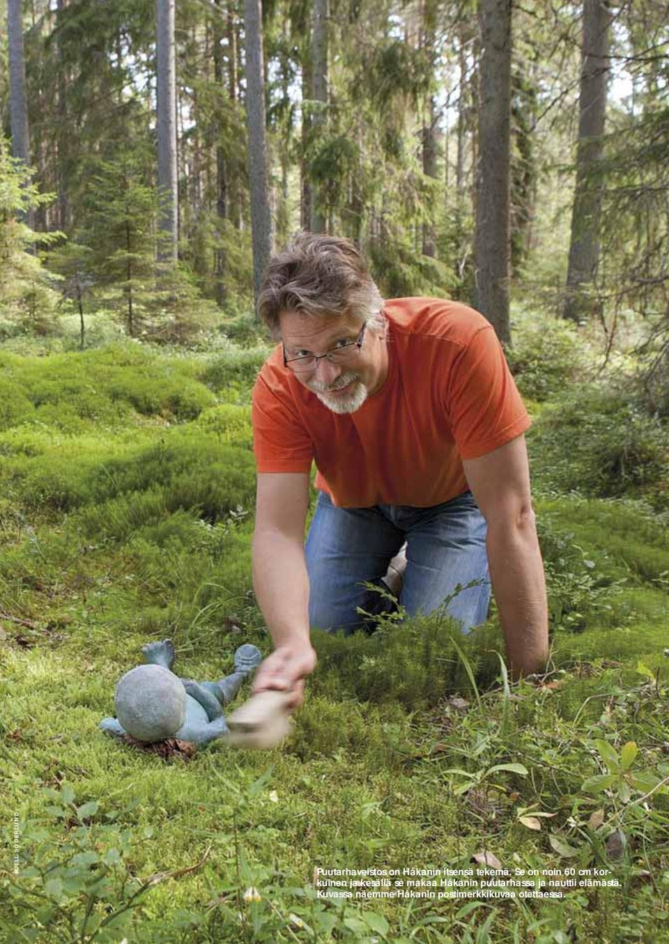 Se on noin 60 cm korkuinen ja kesällä se makaa Håkanin