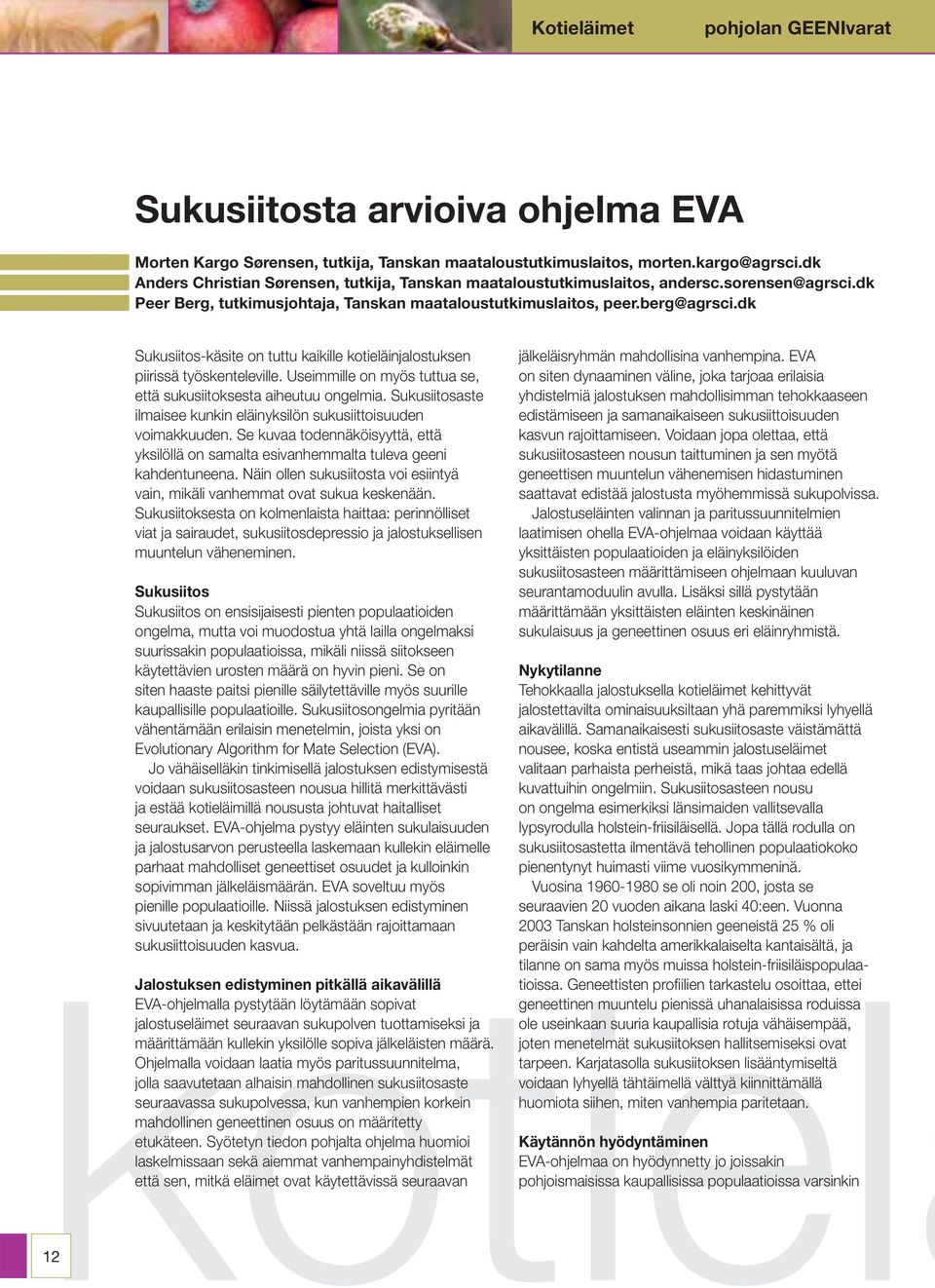 dk Sukusiitos-käsite on tuttu kaikille kotieläinjalostuksen piirissä työskenteleville. Useimmille on myös tuttua se, että sukusiitoksesta aiheutuu ongelmia.