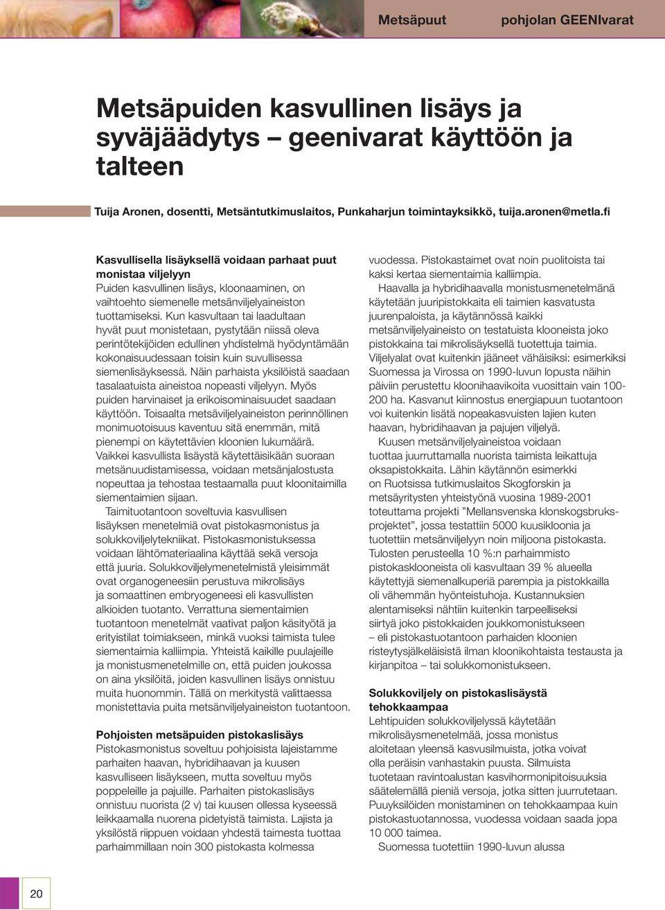 Kun kasvultaan tai laadultaan hyvät puut monistetaan, pystytään niissä oleva perintötekijöiden edullinen yhdistelmä hyödyntämään kokonaisuudessaan toisin kuin suvullisessa siemenlisäyksessä.