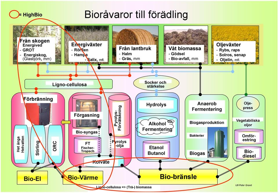 Ligno-cellulosa Socker och stärkelse Het ånga Hetvatten Förbränning Stirling ORC Förgasning Bio-syngas FT Fischer- Tropsch Kolväte Biodiesel Pyrolys- Förvätskning