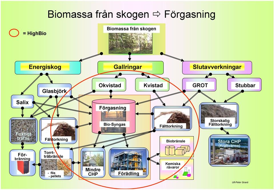 Fälttorkning Storskalig Fälttorkning Fuktigt träflis Fälttorkning Biobränsle Stora CHP