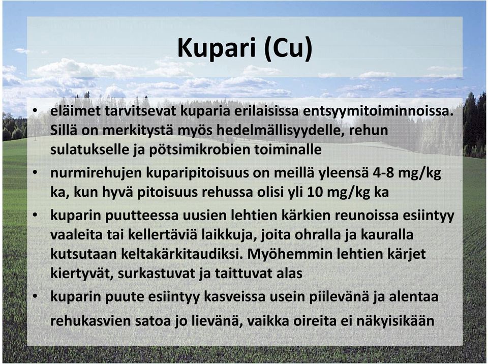 kun hyvä pitoisuus rehussa olisi yli 10 mg/kg ka kuparin puutteessa uusien lehtien kärkien reunoissa esiintyy vaaleita tai kellertäviä laikkuja, joita