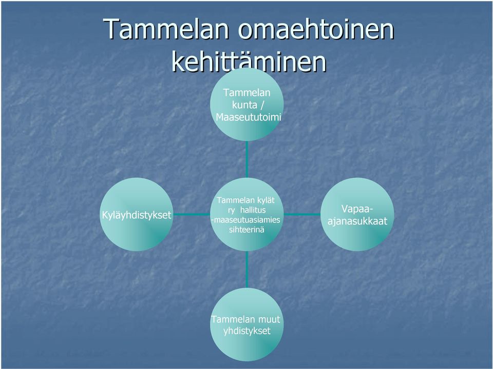 Tammelan kylät ry hallitus -maaseutuasiamies