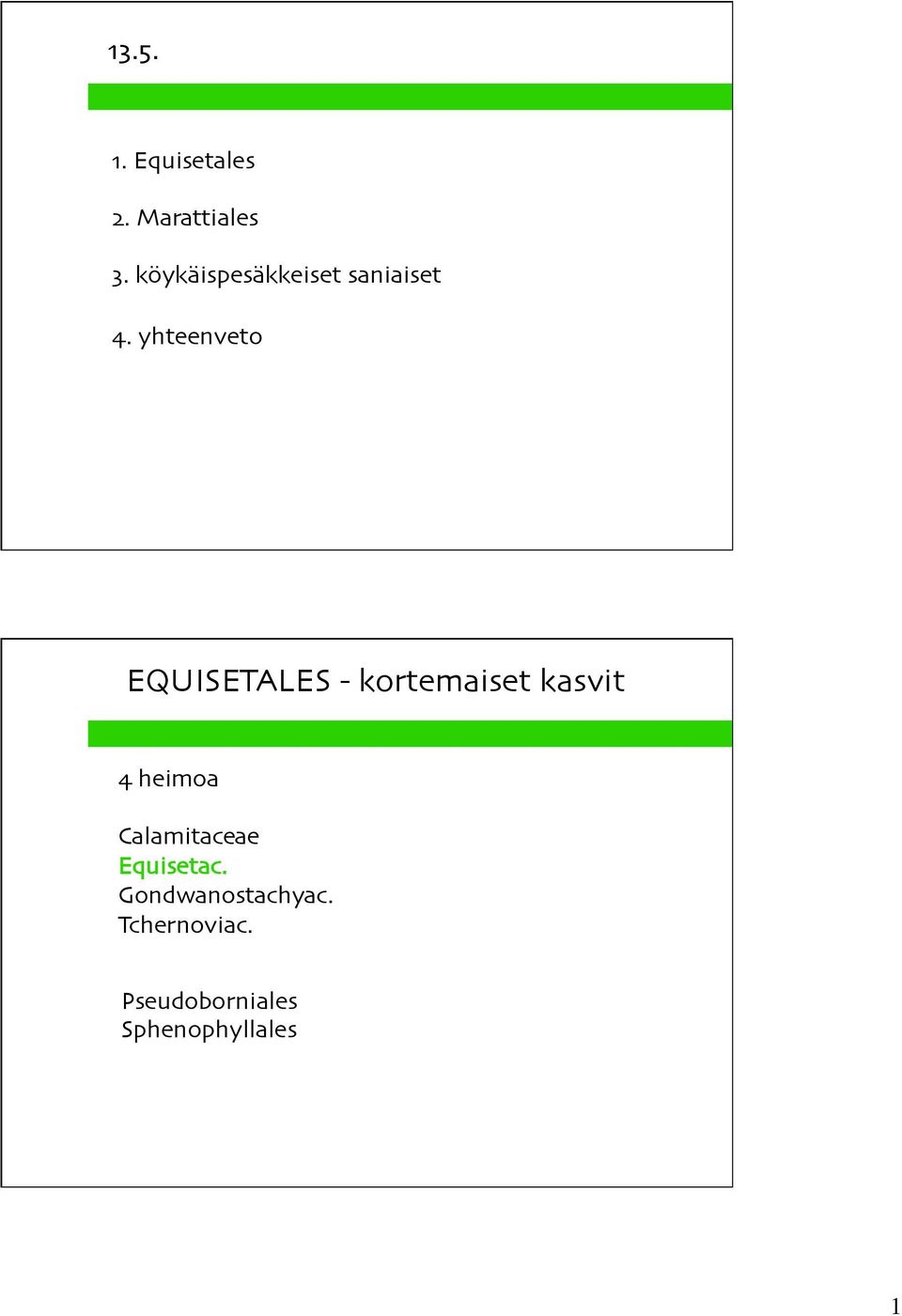 yhteenveto EQUISETALES - kortemaiset kasvit 4 heimoa