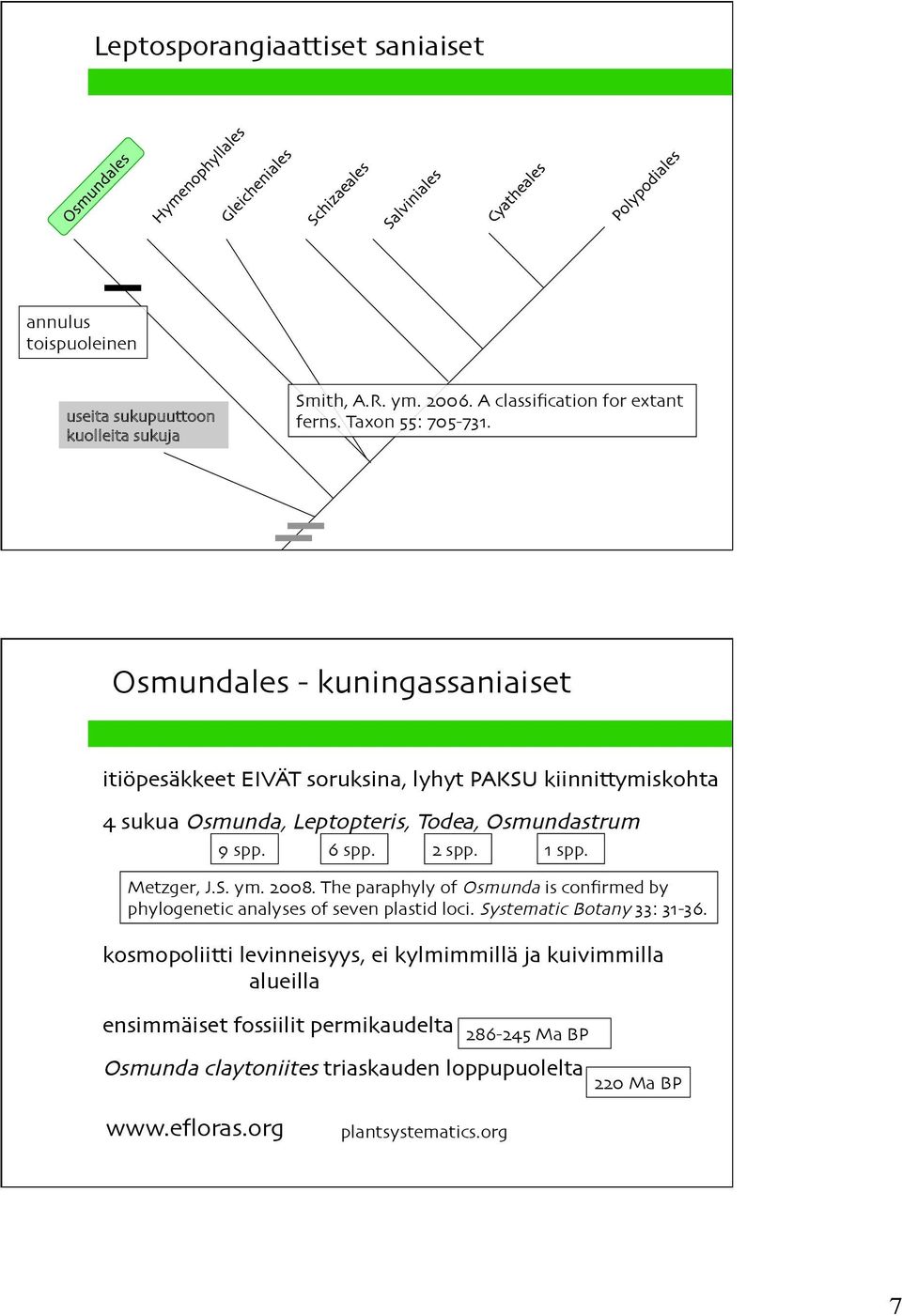 1 spp. Metzger, J.S. ym. 2008. The paraphyly of Osmunda is confirmed by phylogenetic analyses of seven plastid loci. Systematic Botany 33: 31-36.