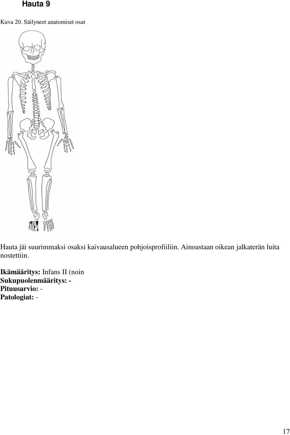 kaivausalueen pohjoisprofiiliin.