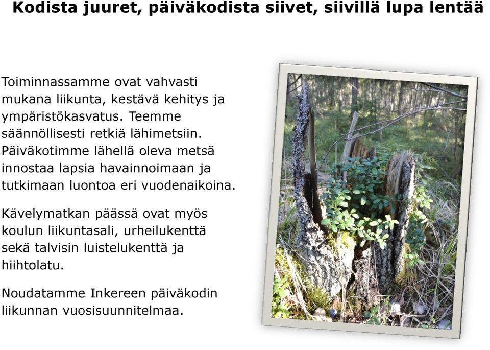 Päiväkotimme lähellä oleva metsä innostaa lapsia havainnoimaan ja tutkimaan luontoa eri vuodenaikoina.