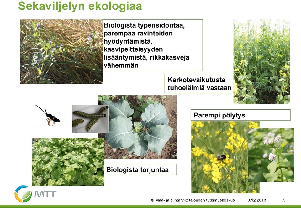 rikkakasveja vähemmän Karkotevaikutusta tuhoeläimiä vastaan Parempi