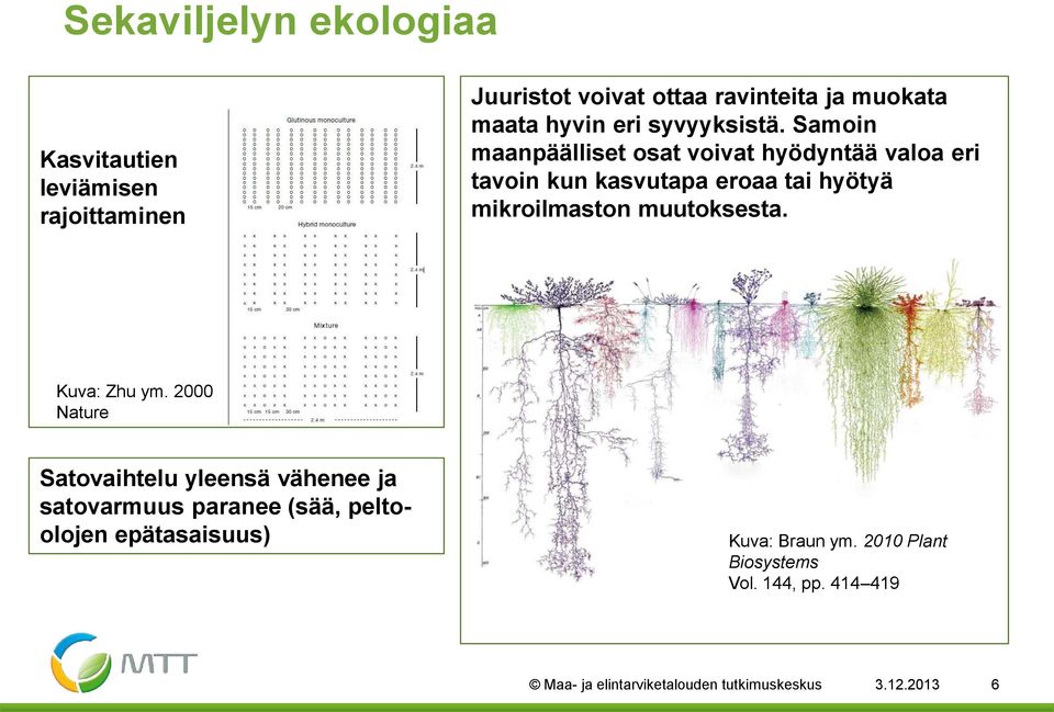 Samoin maanpäälliset osat voivat hyödyntää valoa eri tavoin kun kasvutapa eroaa tai hyötyä mikroilmaston muutoksesta.