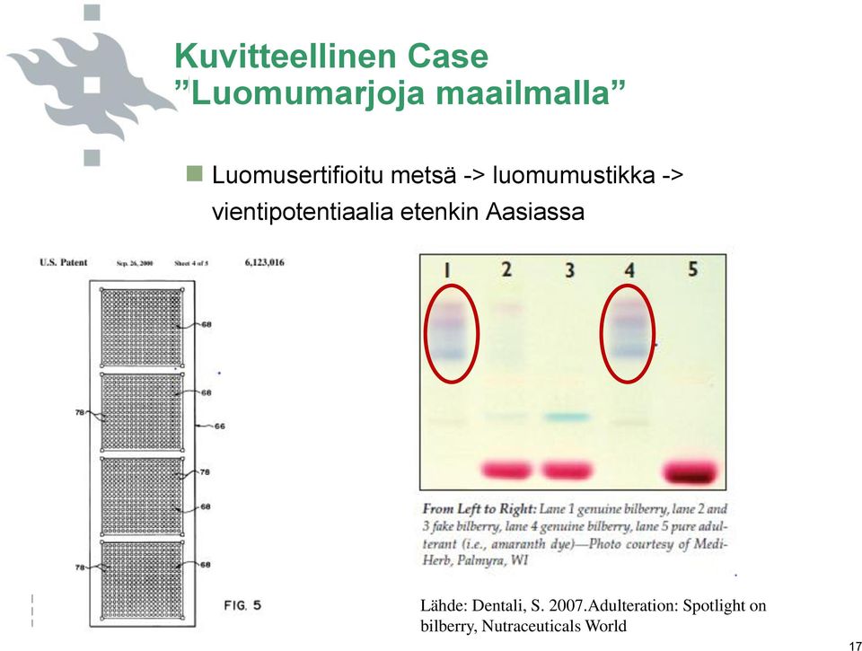 vientipotentiaalia etenkin Aasiassa Lähde: Dentali,