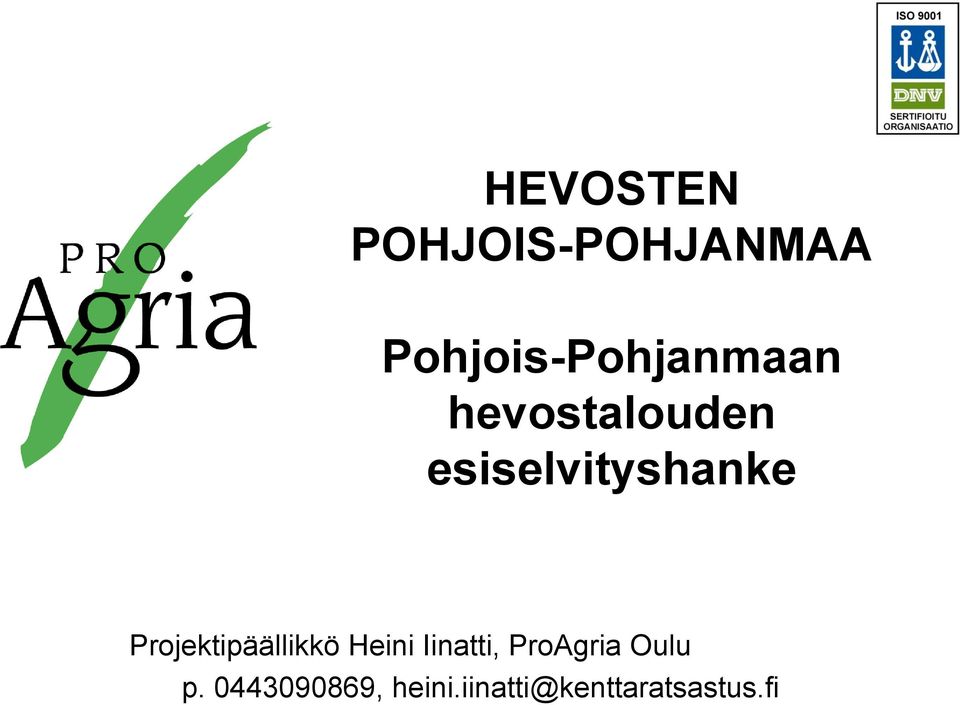 esiselvityshanke Projektipäällikkö Heini