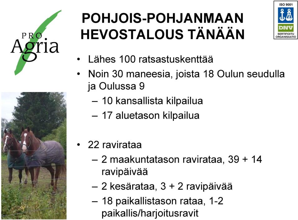 aluetason kilpailua 22 ravirataa 2 maakuntatason ravirataa, 39 + 14