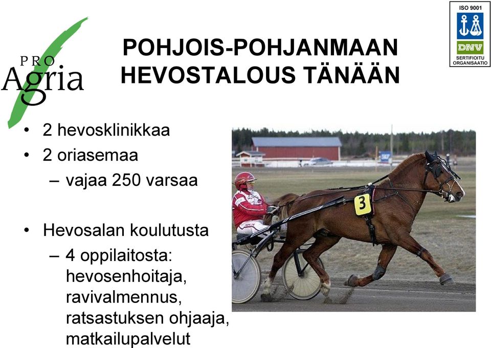 Hevosalan koulutusta 4 oppilaitosta: