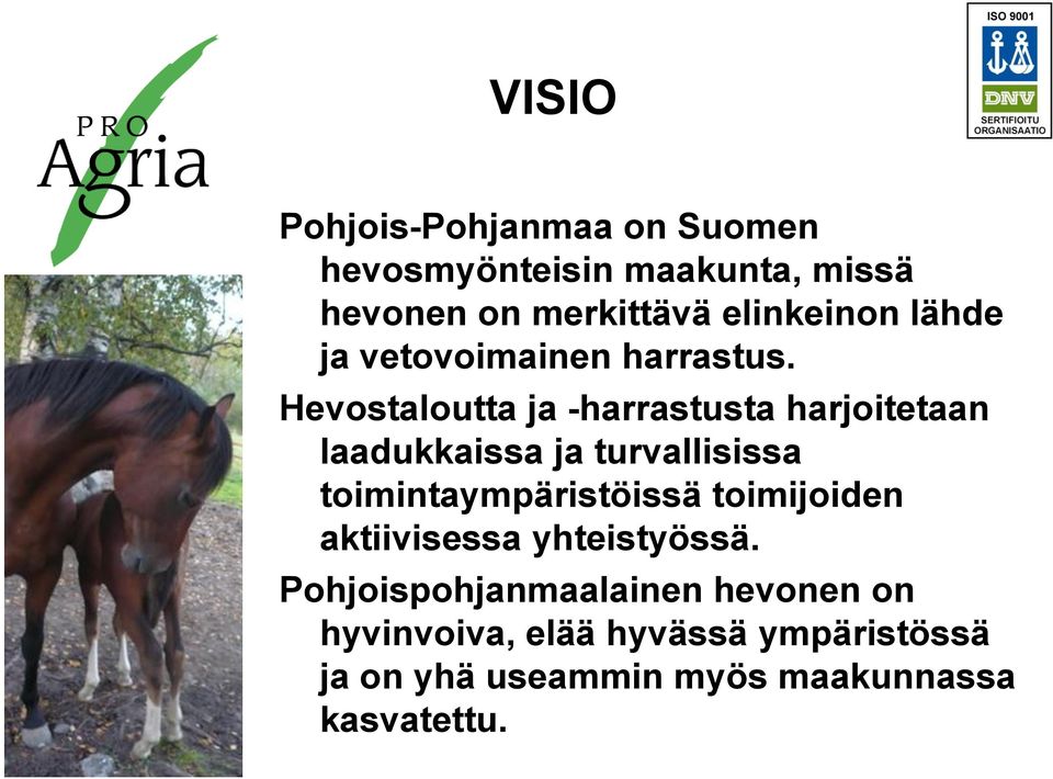 Hevostaloutta ja -harrastusta harjoitetaan laadukkaissa ja turvallisissa toimintaympäristöissä