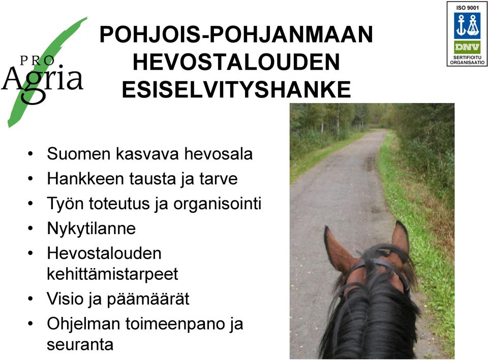 toteutus ja organisointi Nykytilanne Hevostalouden