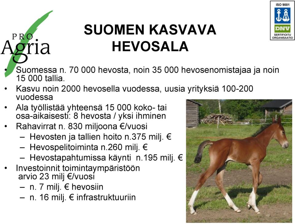 osa-aikaisesti: 8 hevosta / yksi ihminen Rahavirrat n. 830 miljoona /vuosi Hevosten ja tallien hoito n.375 milj.