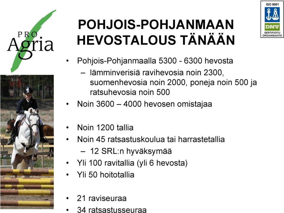 3600 4000 hevosen omistajaa Noin 1200 tallia Noin 45 ratsastuskoulua tai harrastetallia 12