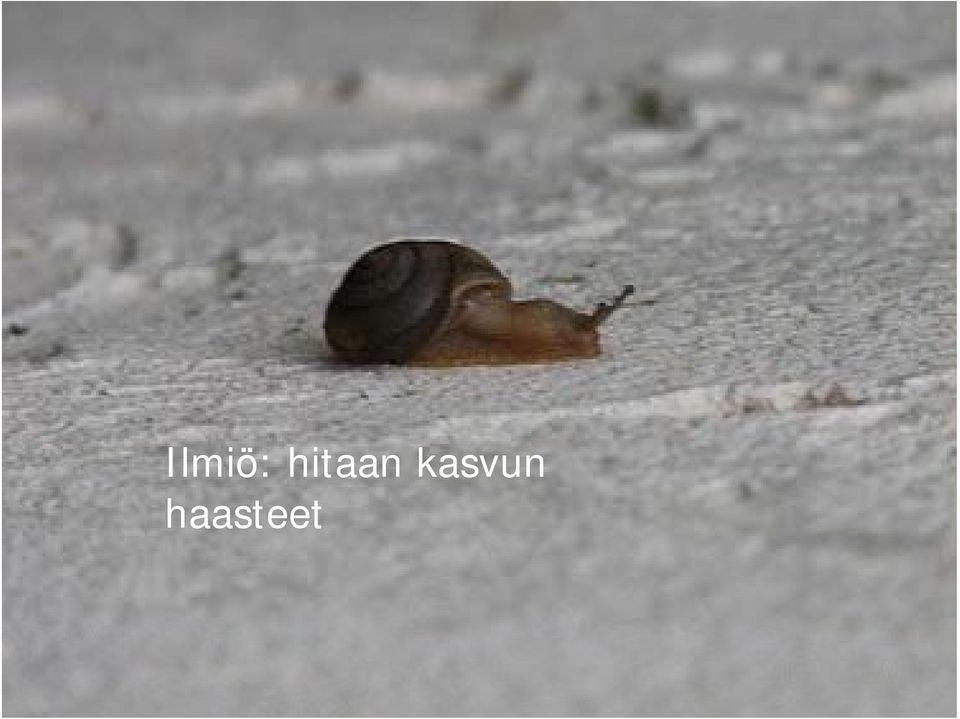 hitaan kasvun