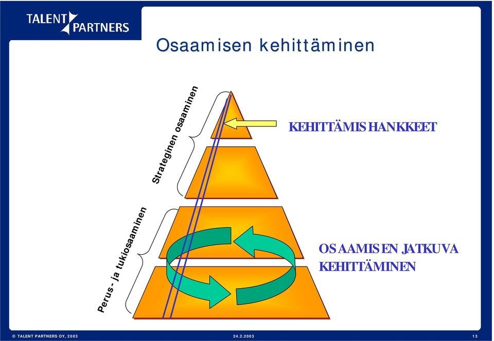 KEHITTÄMISHANKKEET Perus- ja