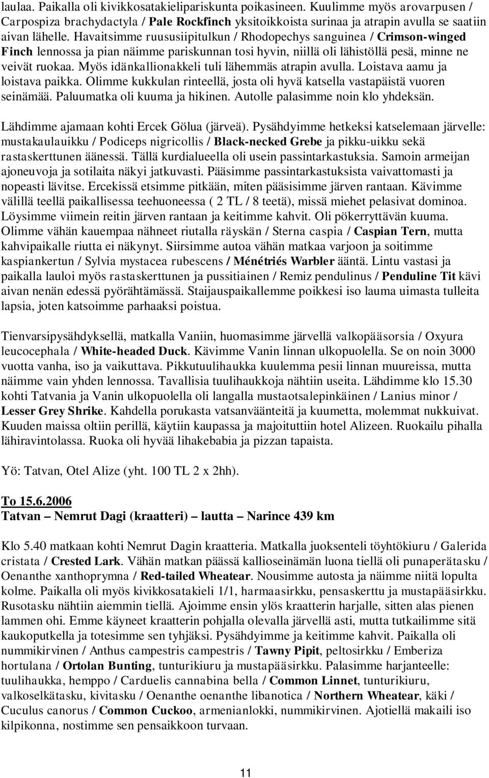 Myös idänkallionakkeli tuli lähemmäs atrapin avulla. Loistava aamu ja loistava paikka. Olimme kukkulan rinteellä, josta oli hyvä katsella vastapäistä vuoren seinämää. Paluumatka oli kuuma ja hikinen.