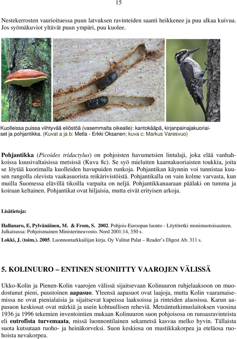 (Kuvat a ja b: Metla - Erkki Oksanen; kuva c: Markus Varesvuo) Pohjantikka (Picoides tridactylus) on pohjoisten havumetsien lintulaji, joka elää vanhahkoissa kuusivaltaisissa metsissä (Kuva 8c).