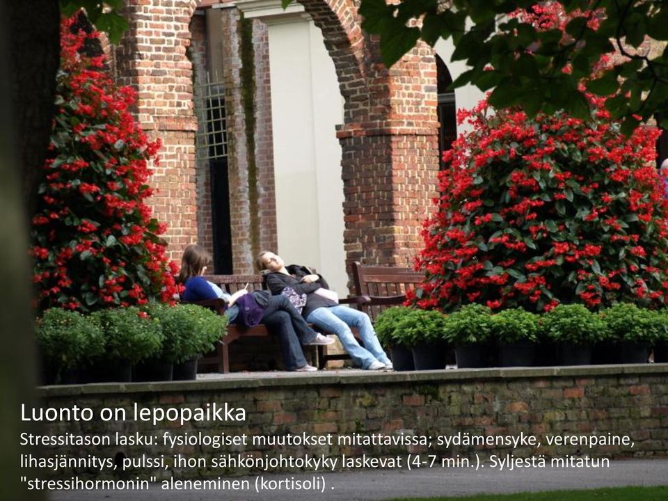 tutkimuksissa on todettu stressioireiden lepopaikka vähenevän merkittävästi jo 4-6 minuutissa luontoa katselemalla.