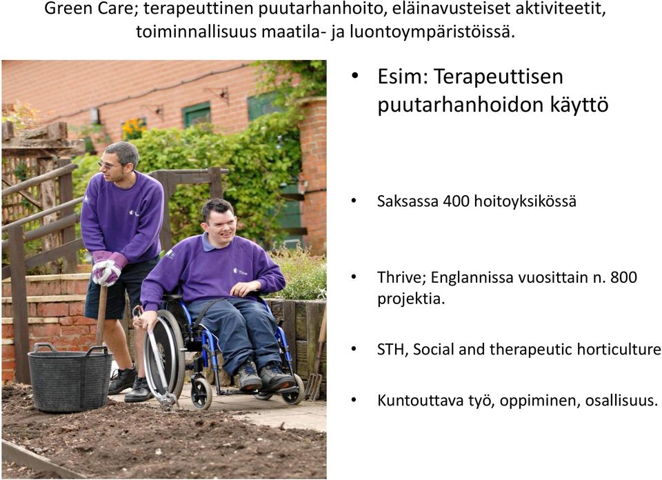 Esim: Terapeuttisen puutarhanhoidon käyttö Saksassa 400 hoitoyksikössä Thrive;