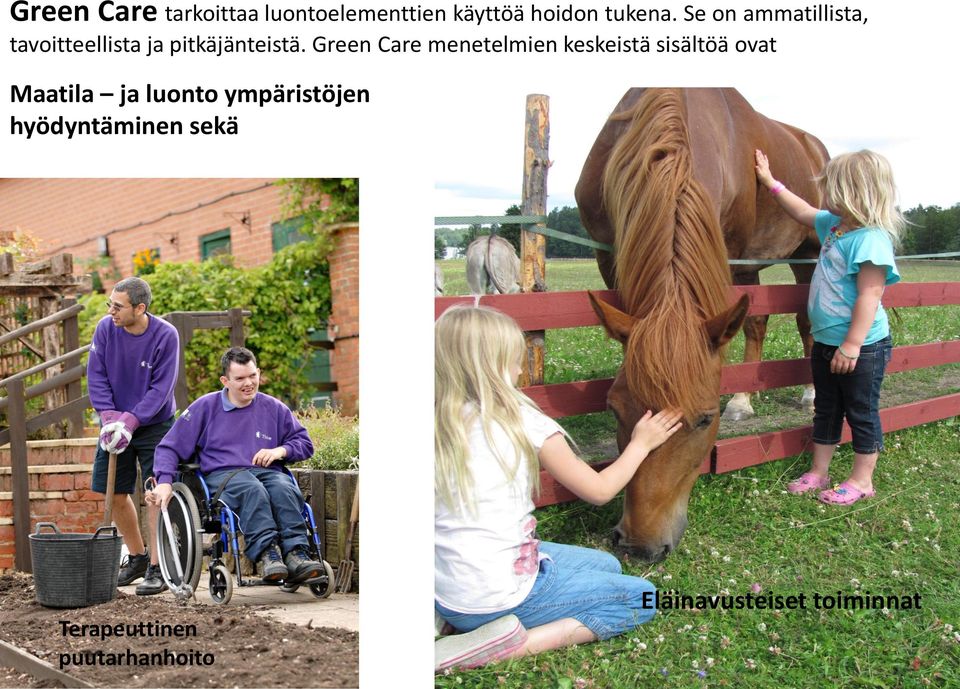 Green Care menetelmien keskeistä sisältöä ovat Maatila ja luonto