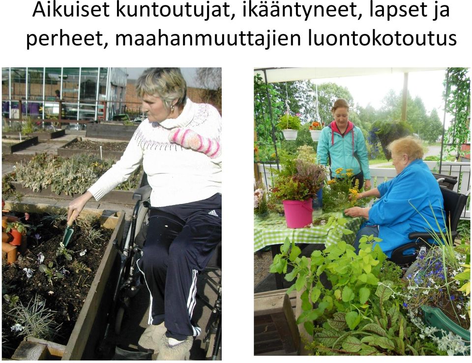 ja perheet,