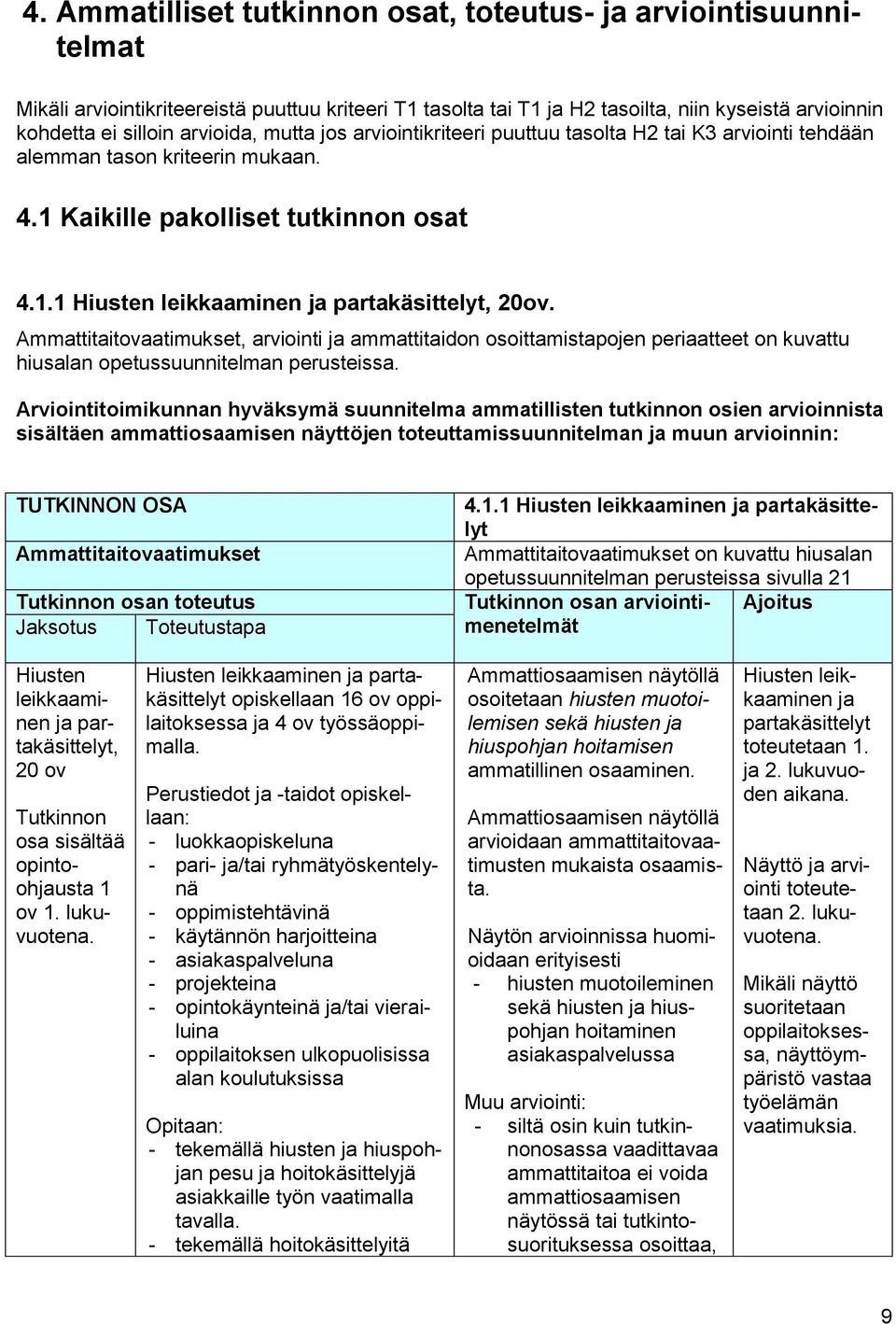 Ammattitaitovaatimukset, arviointi ja ammattitaidon osoittamistapojen periaatteet on kuvattu hiusalan opetussuunnitelman perusteissa.