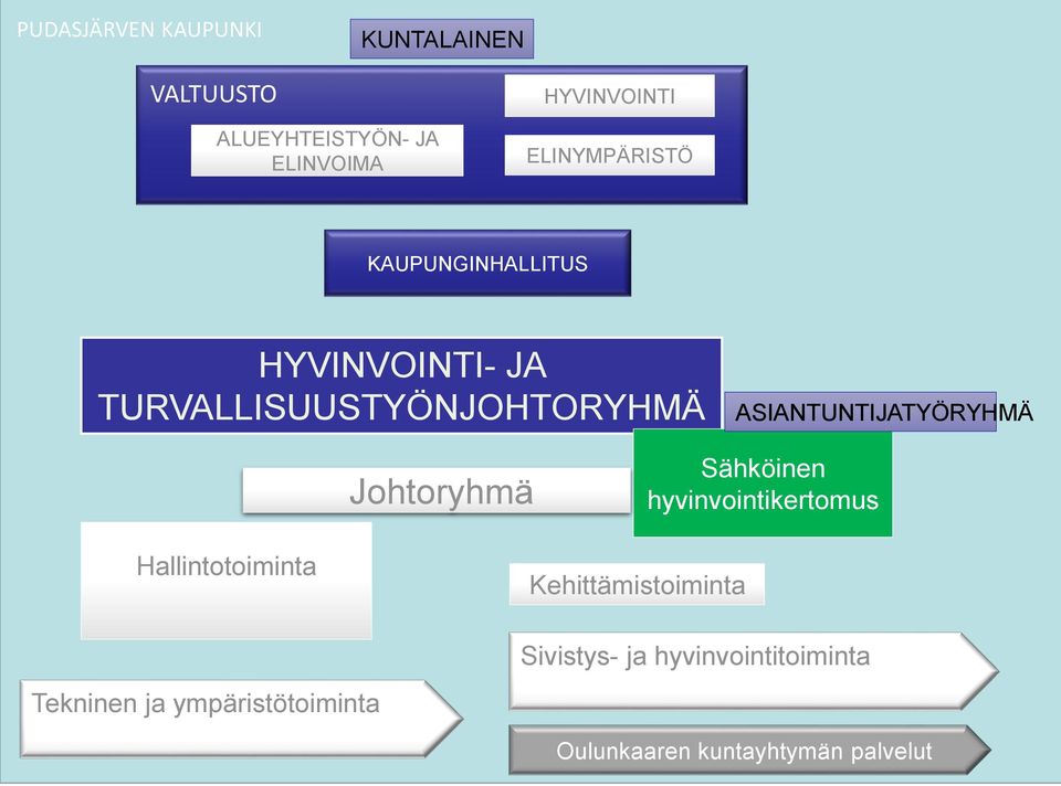 ASIANTUNTIJATYÖRYHMÄ Johtoryhmä Sähköinen hyvinvointikertomus Hallintotoiminta