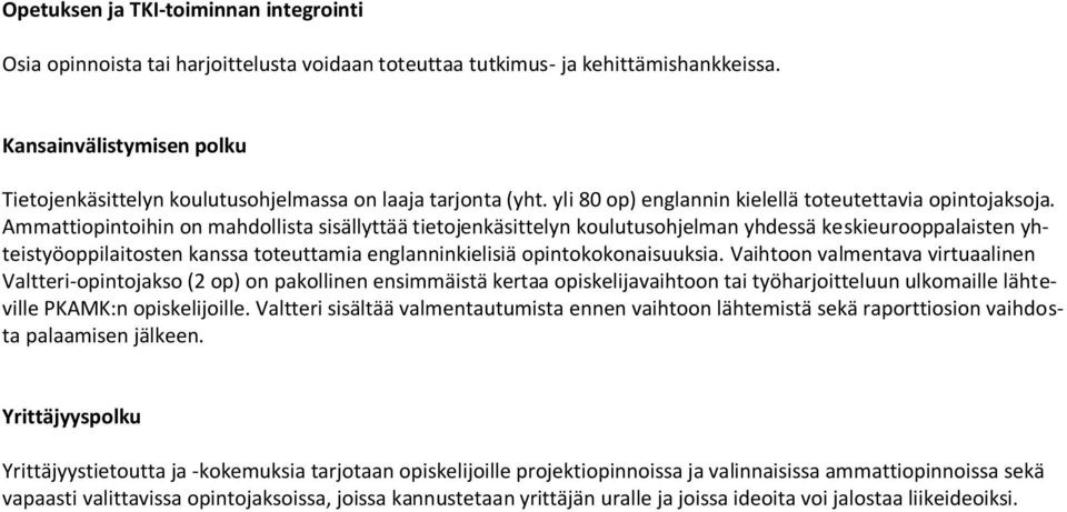 Ammattiopintoihin on mahdollista sisällyttää tietojenkäsittelyn koulutusohjelman yhdessä keskieurooppalaisten yhteistyöoppilaitosten kanssa toteuttamia englanninkielisiä opintokokonaisuuksia.