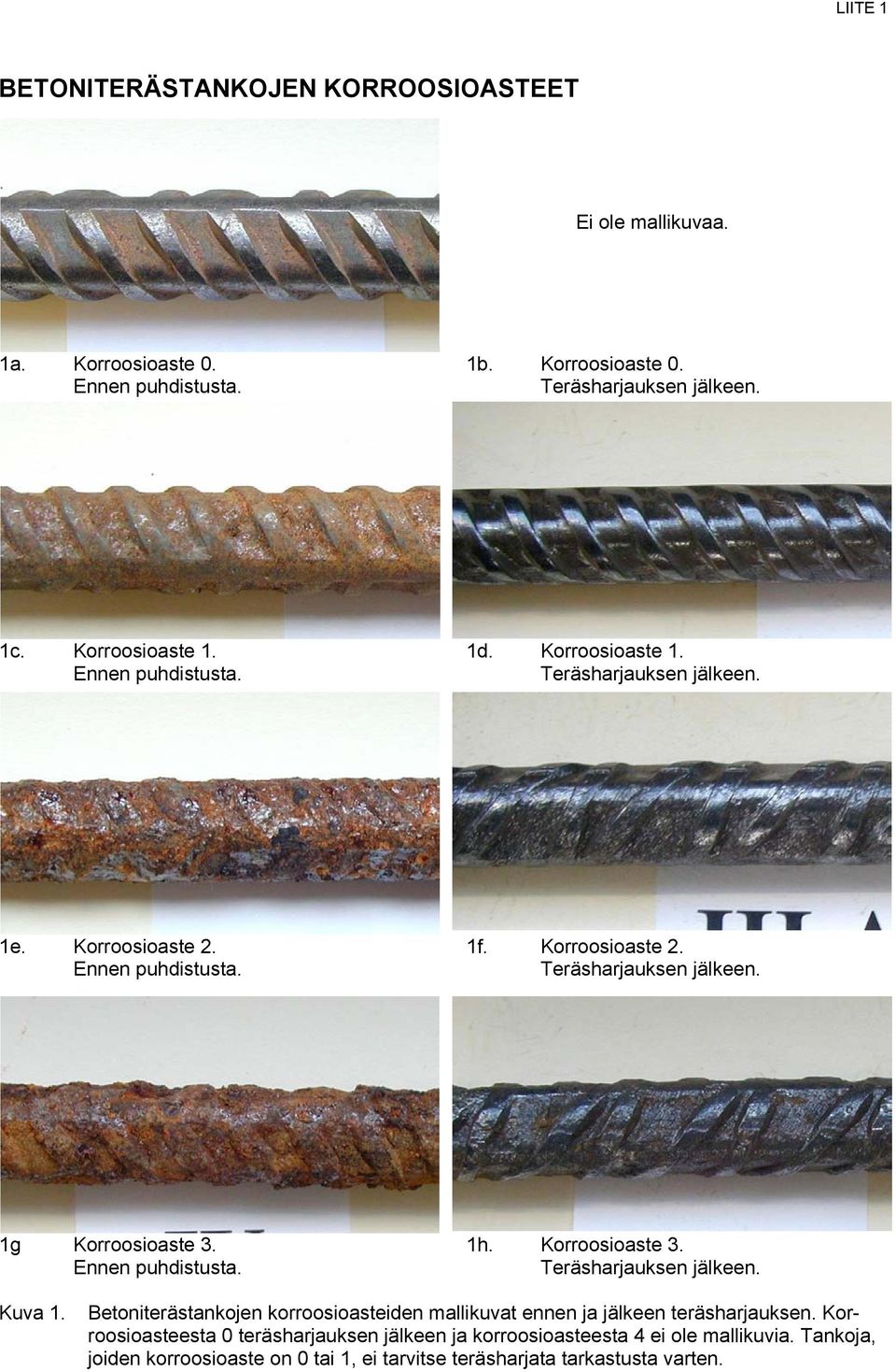Ennen puhdistusta. 1h. Korroosioaste 3. Teräsharjauksen jälkeen. Kuva 1. Betoniterästankojen korroosioasteiden mallikuvat ennen ja jälkeen teräsharjauksen.