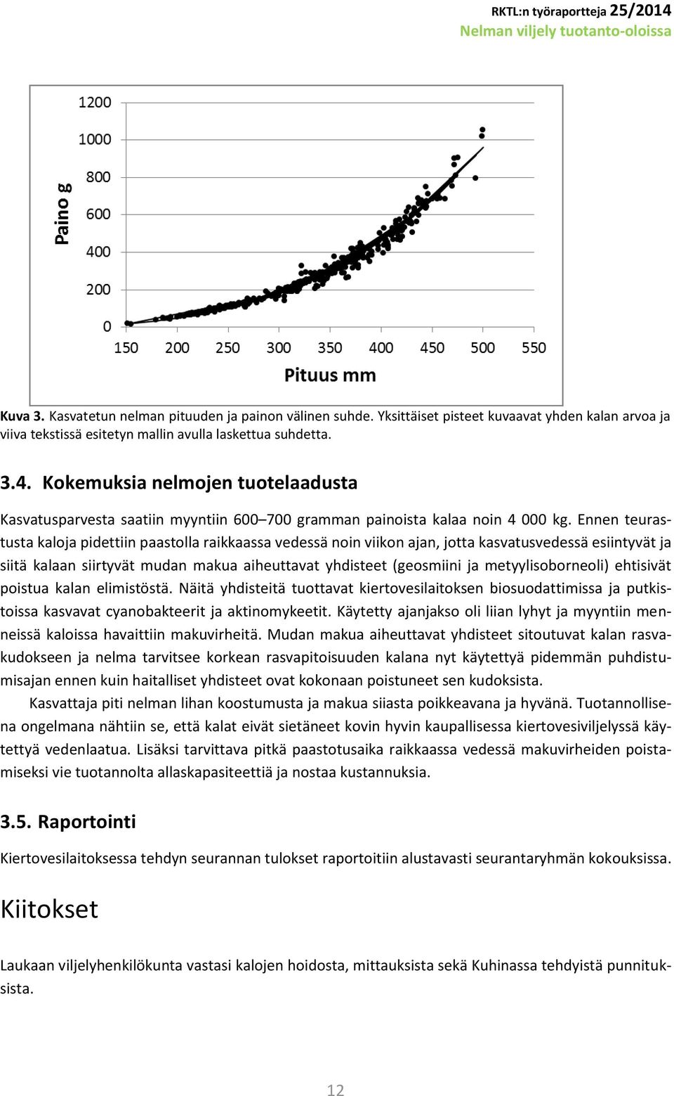 Ennen teurastusta kaloja pidettiin paastolla raikkaassa vedessä noin viikon ajan, jotta kasvatusvedessä esiintyvät ja siitä kalaan siirtyvät mudan makua aiheuttavat yhdisteet (geosmiini ja