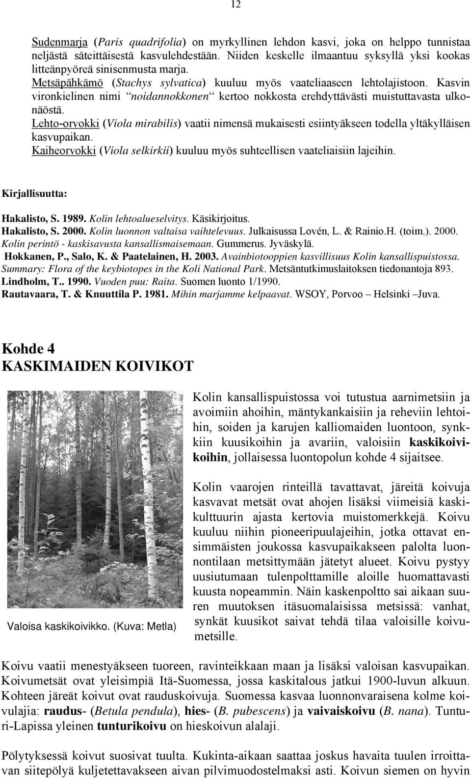 Kasvin vironkielinen nimi noidannokkonen kertoo nokkosta erehdyttävästi muistuttavasta ulkonäöstä.