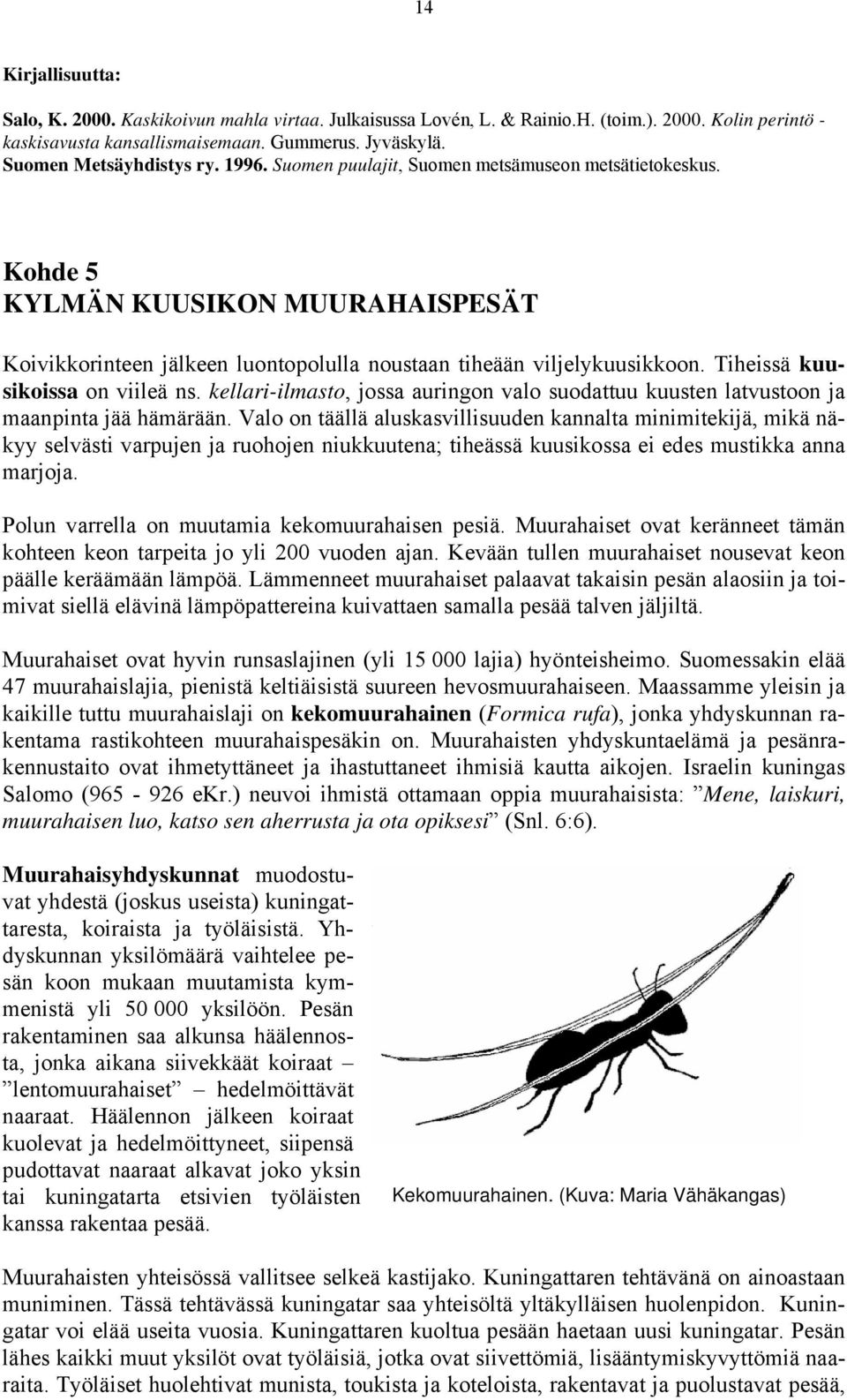 Tiheissä kuusikoissa on viileä ns. kellari-ilmasto, jossa auringon valo suodattuu kuusten latvustoon ja maanpinta jää hämärään.