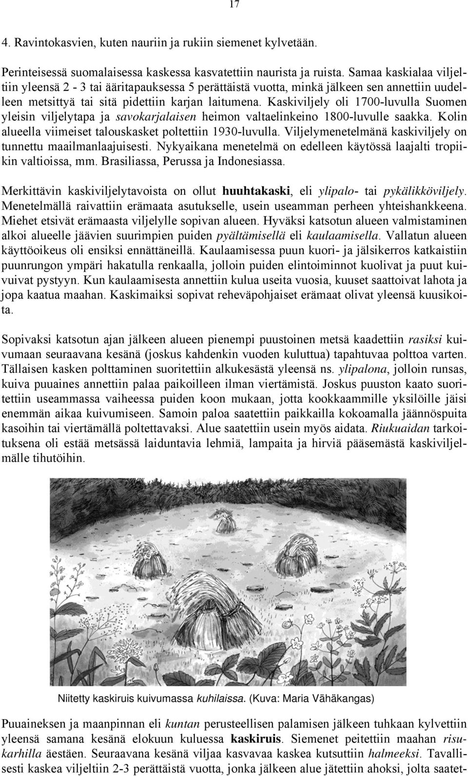 Kaskiviljely oli 1700-luvulla Suomen yleisin viljelytapa ja savokarjalaisen heimon valtaelinkeino 1800-luvulle saakka. Kolin alueella viimeiset talouskasket poltettiin 1930-luvulla.