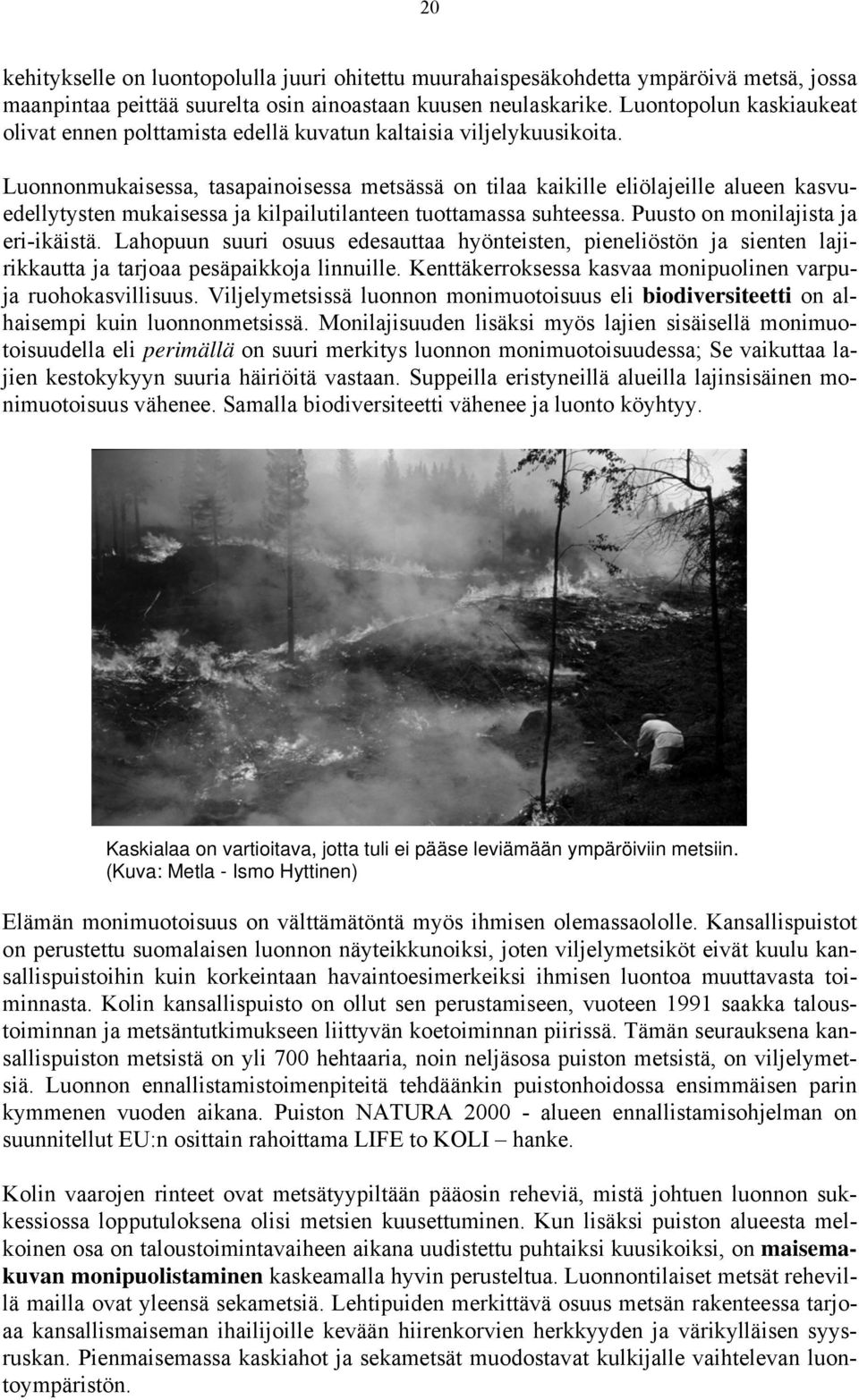 Luonnonmukaisessa, tasapainoisessa metsässä on tilaa kaikille eliölajeille alueen kasvuedellytysten mukaisessa ja kilpailutilanteen tuottamassa suhteessa. Puusto on monilajista ja eri-ikäistä.