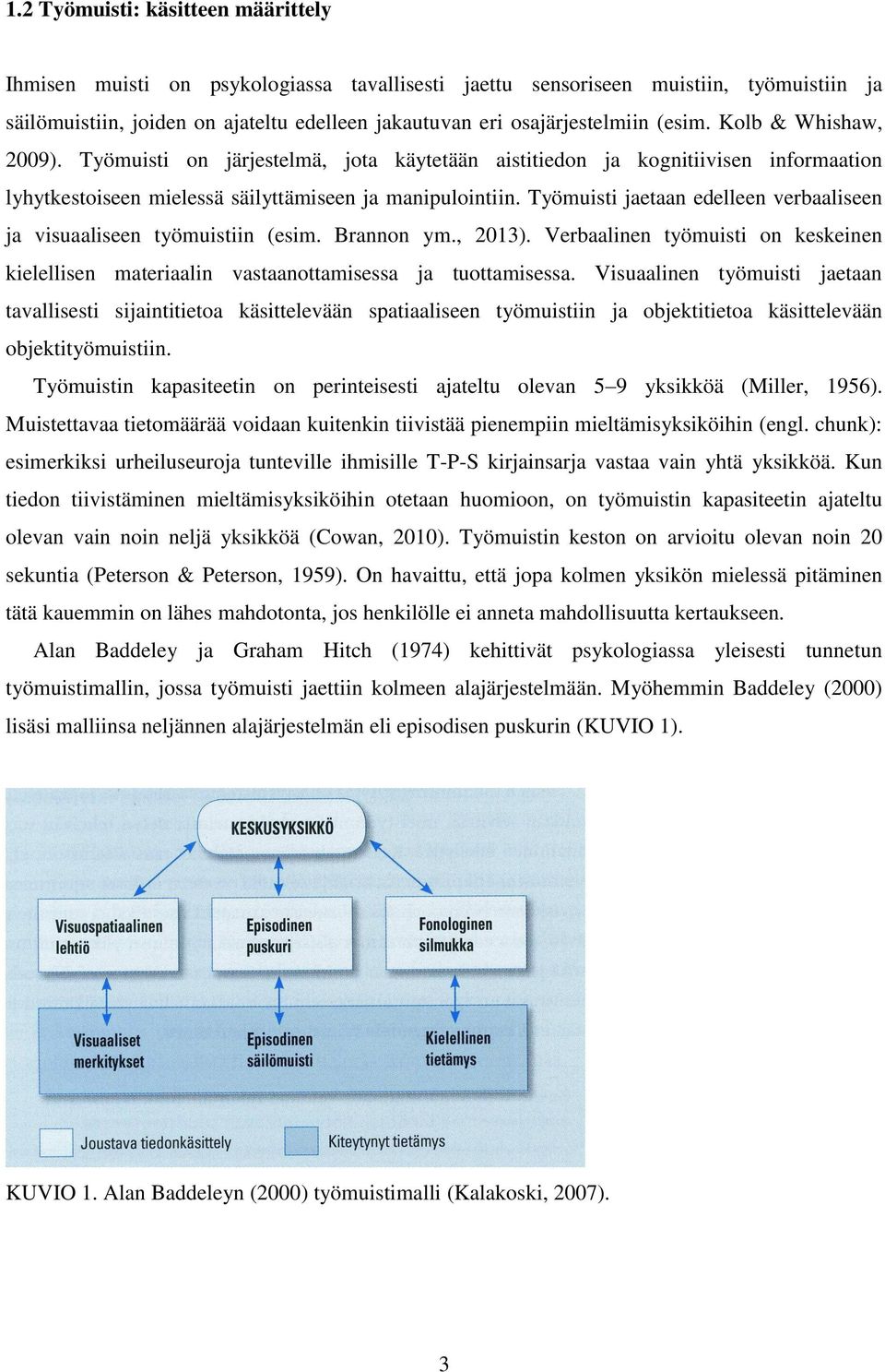 Työmuisti jaetaan edelleen verbaaliseen ja visuaaliseen työmuistiin (esim. Brannon ym., 2013). Verbaalinen työmuisti on keskeinen kielellisen materiaalin vastaanottamisessa ja tuottamisessa.