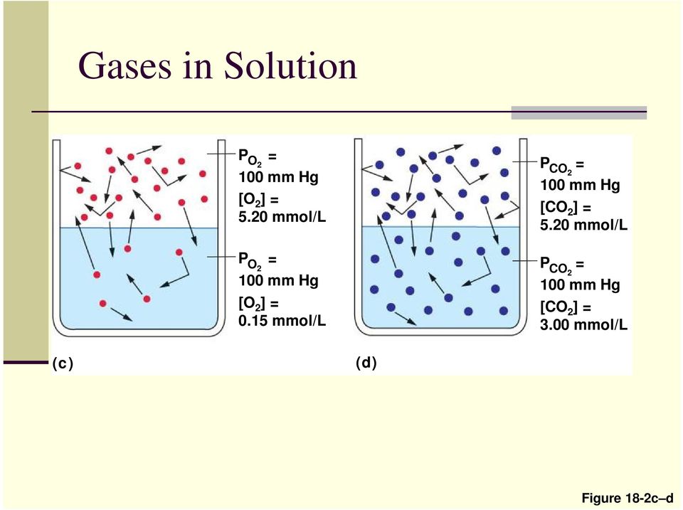 15 mmol/l P CO2 = 100 mm Hg [CO 2 ] = 5.