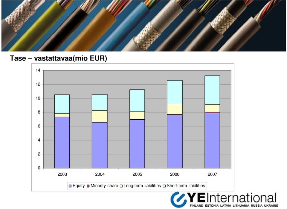 2007 Equity Minority share