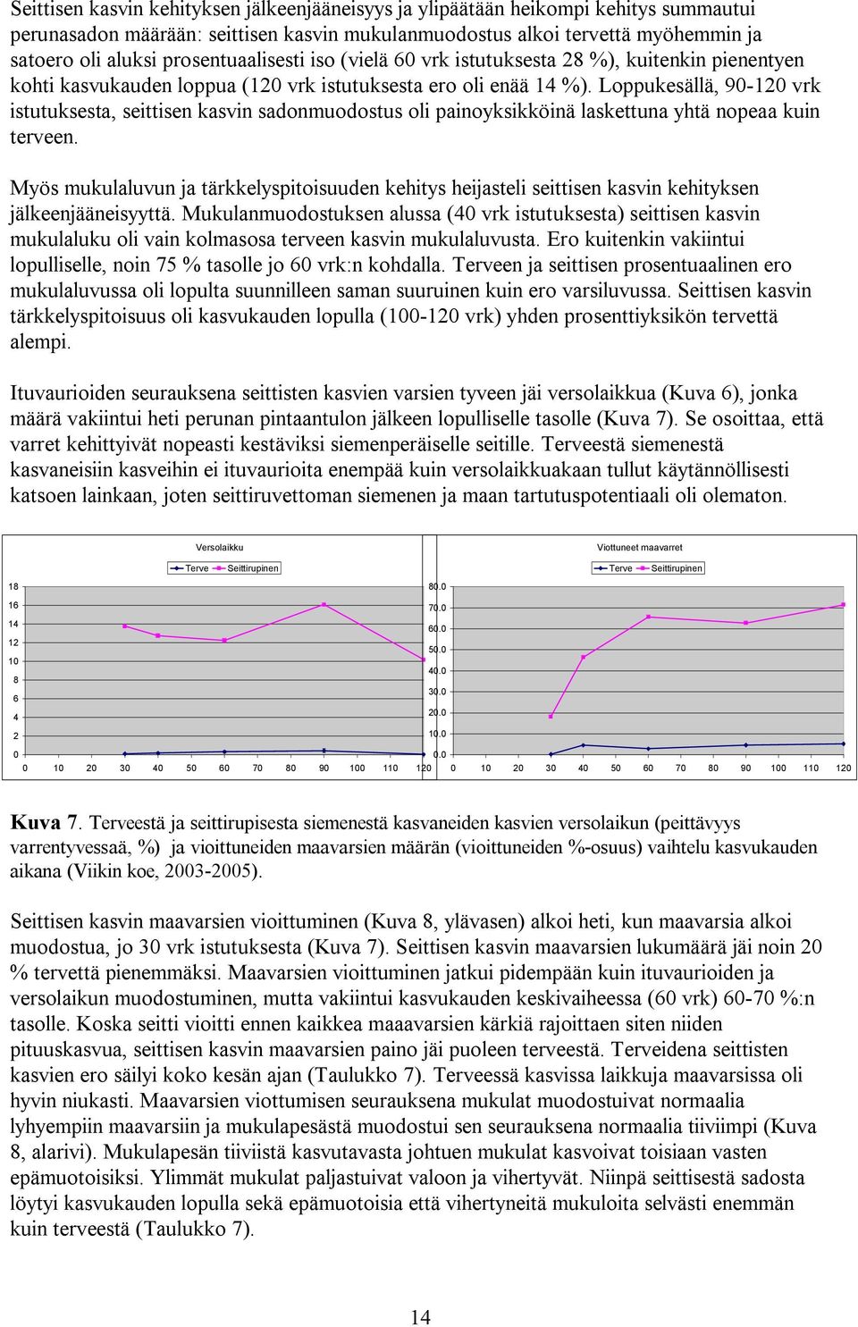 Loppukesällä, 90-120 vrk istutuksesta, seittisen kasvin sadonmuodostus oli painoyksikköinä laskettuna yhtä nopeaa kuin terveen.
