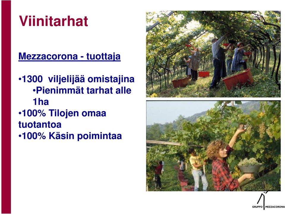 omistajina Pienimmät tarhat alle