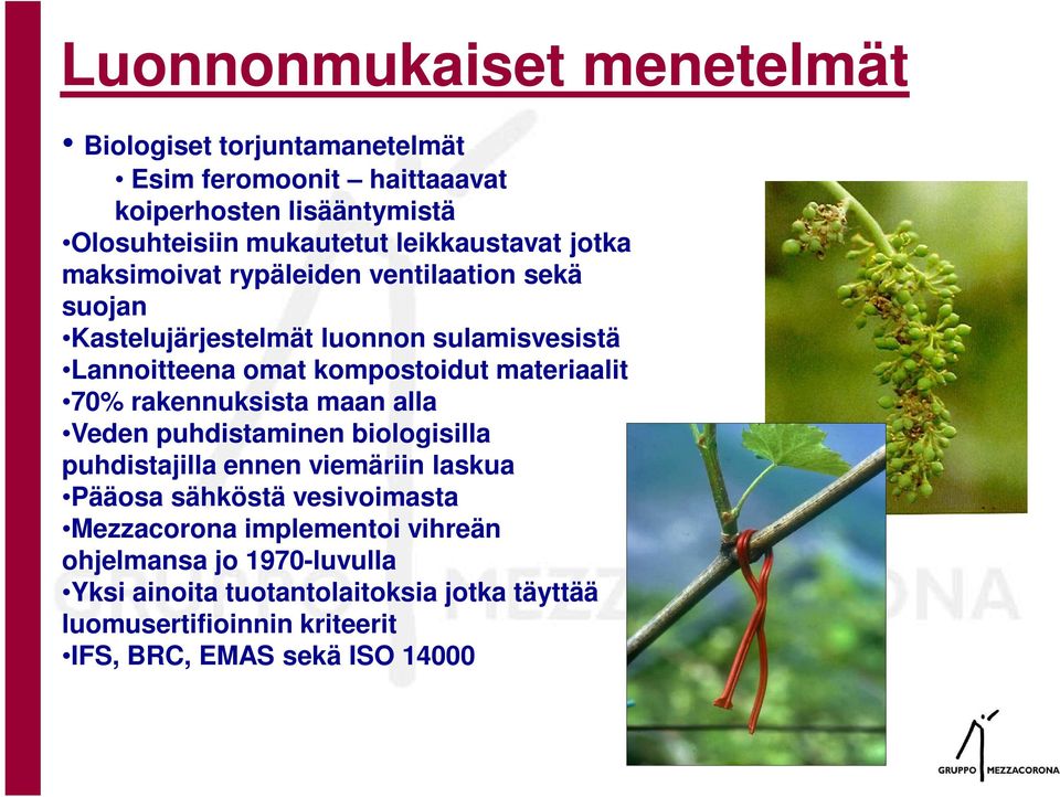 materiaalit 70% rakennuksista maan alla Veden puhdistaminen biologisilla puhdistajilla ennen viemäriin laskua Pääosa sähköstä vesivoimasta