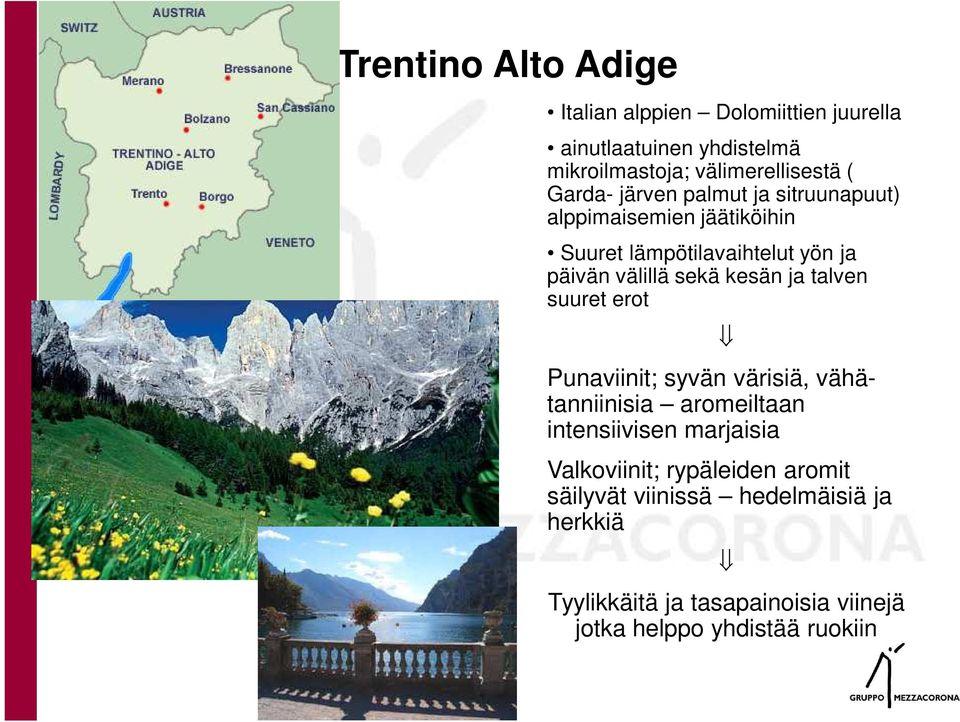 kesän ja talven suuret erot Punaviinit; syvän värisiä, vähätanniinisia aromeiltaan intensiivisen marjaisia Valkoviinit;