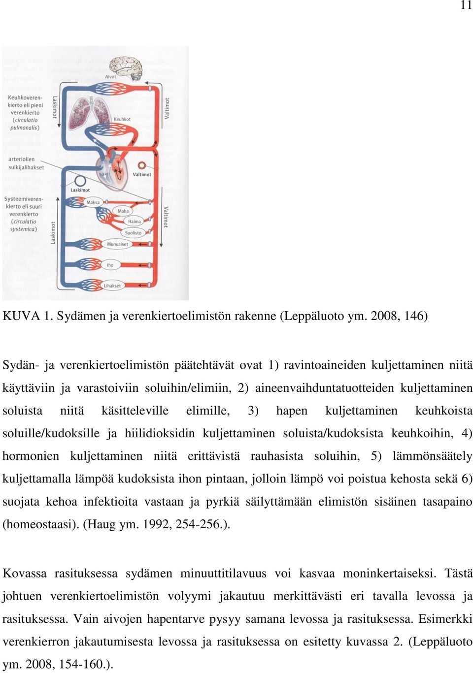 niitä käsitteleville elimille, 3) hapen kuljettaminen keuhkoista soluille/kudoksille ja hiilidioksidin kuljettaminen soluista/kudoksista keuhkoihin, 4) hormonien kuljettaminen niitä erittävistä